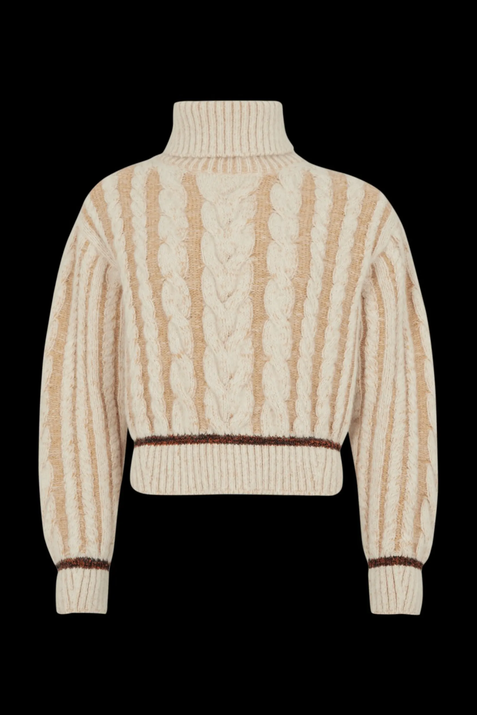 Long-Sleeved Turtleneck Jumper Women Sweaters