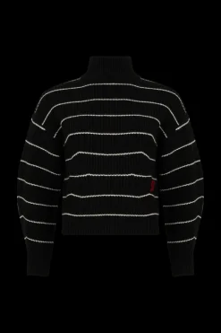 Hot Turtleneck Jumper With Curved Long Sleeves Women Sweaters